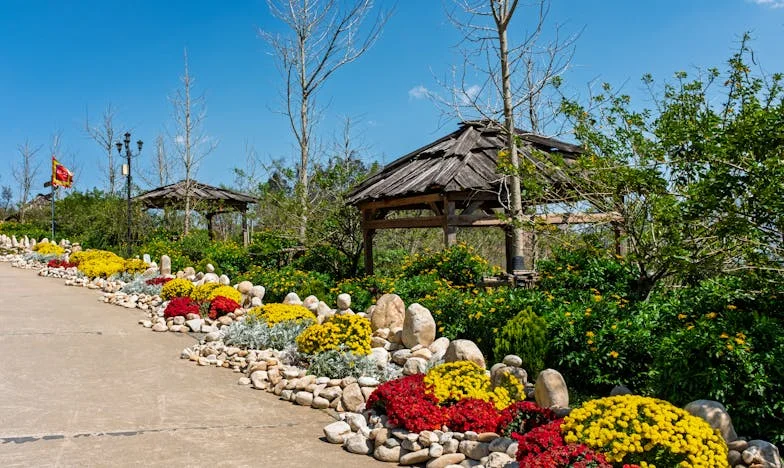 Mezi dvěma srdci: Cesta tchyně k odpuštění