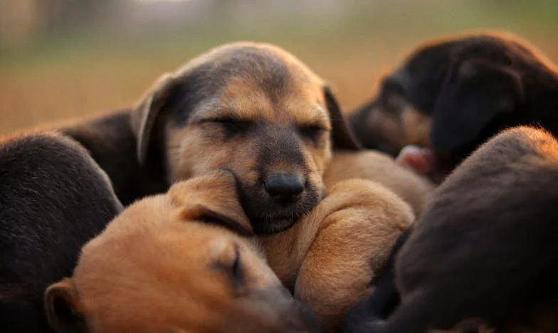 Mezi modlitbou a zoufalstvím: Jak jsem pečovala o maminku a hledala sílu ve víře