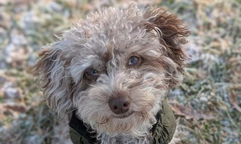 Mezi tichem a ztrátou: Příběh jednoho mateřského srdce