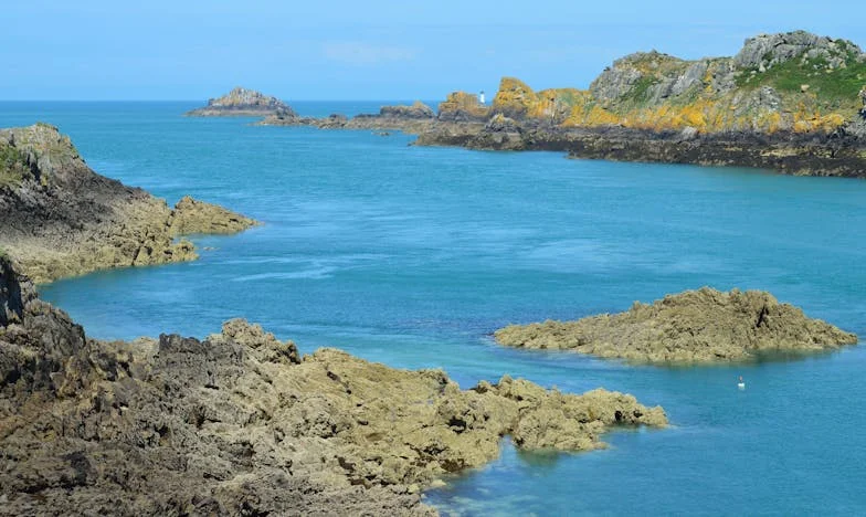 Mezi vinou a touhou: Můj život ve stínu rodiny