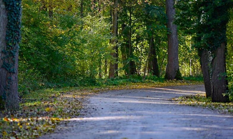 Moje auto, moje rodina a nevyřčené odpuštění – příběh o důvěře, zklamání a rodinných tajemstvích