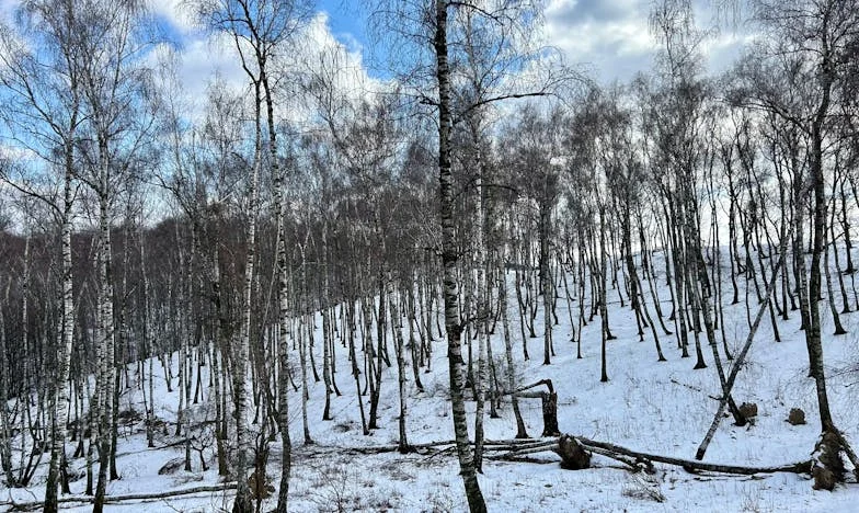 Moje tchyně chce půlku domu: Boj o svobodu a vlastní klid