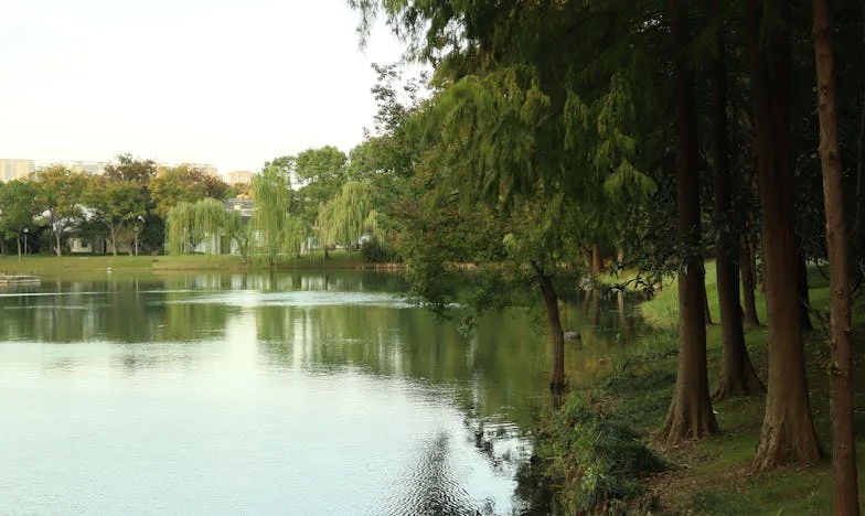 Nečekaný host: Den, kdy se všechno změnilo