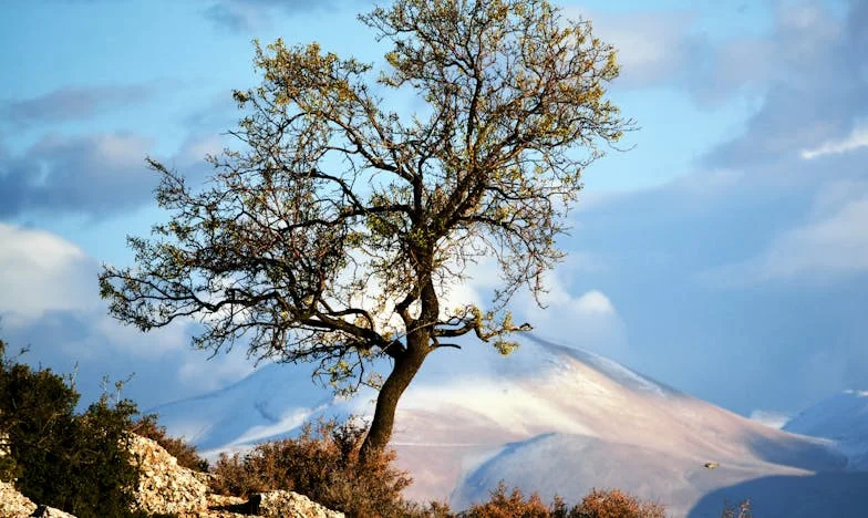 Nezvala jsem svou rodinu na svatbu: Byla jsem sobecká, nebo jsem si konečně vybrala sebe?