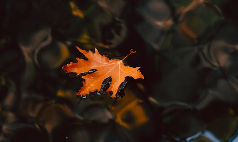 Oslava, která mi zlomila srdce: Příběh jedné těhotné ženy z Prahy