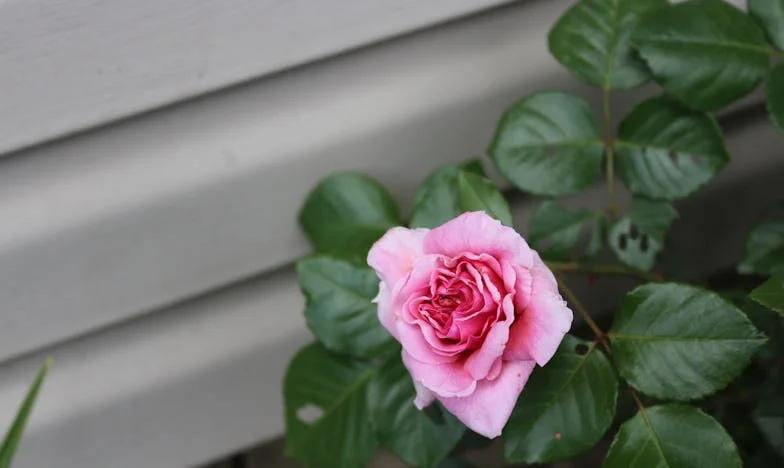 Pod českým nebem: Útěk z vlastního života