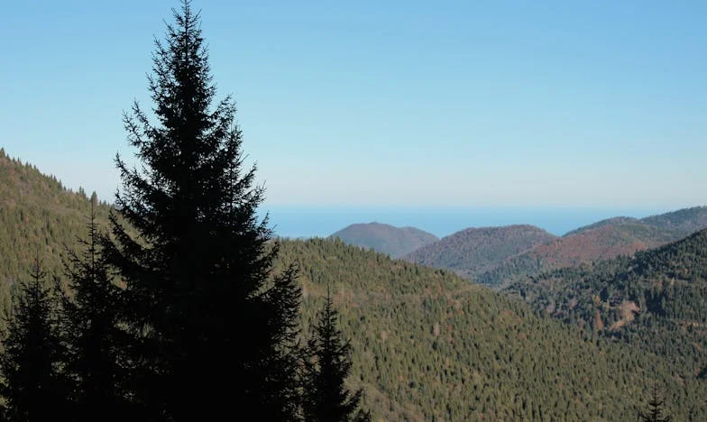 Poslední krajíc chleba – Mlčení matky v české realitě