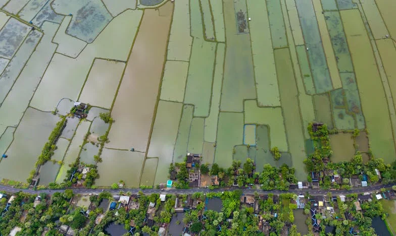 „Překážíte nám v manželství.“ Synova žena mi to řekla do očí a on mlčel