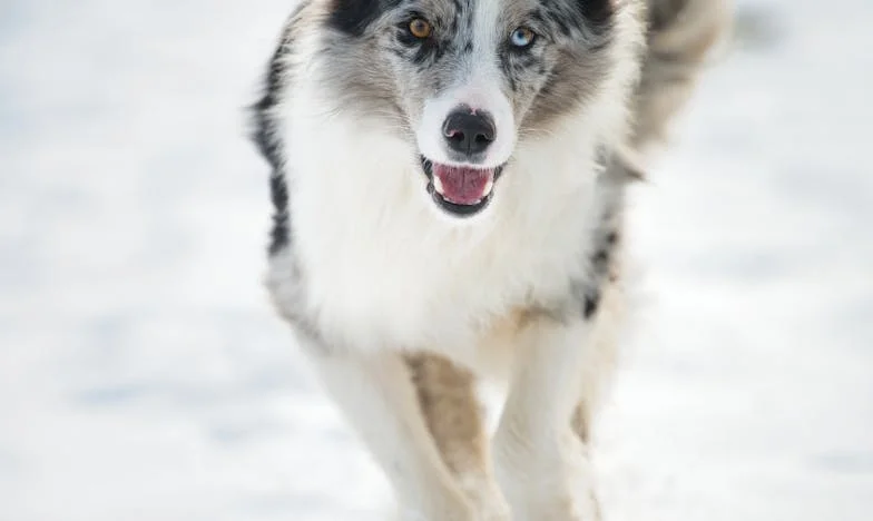 Proč nedávám klíč své matce? – Česká rodinná sága o svobodě a hranicích
