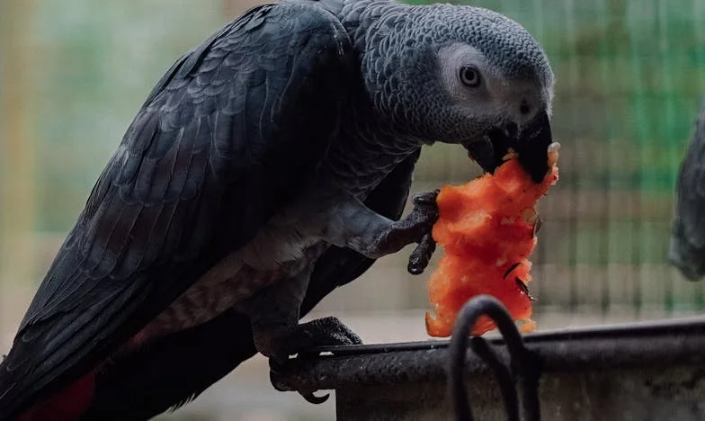 Všechno zůstalo na mně: Příběh dcery, která musela být silná