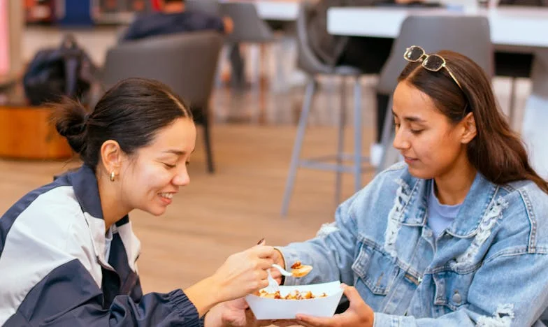 Zámky, které nás měly ochránit: Příběh jedné rodiny a hranic, které je třeba chránit