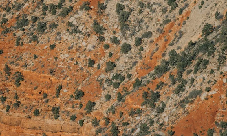 Zlomená důvěra: Příběh o zradě, která se nezapomíná