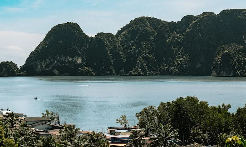 Dědictví, které roztrhlo dvě rodiny: Moje cesta za pravdou, láskou a odpuštěním