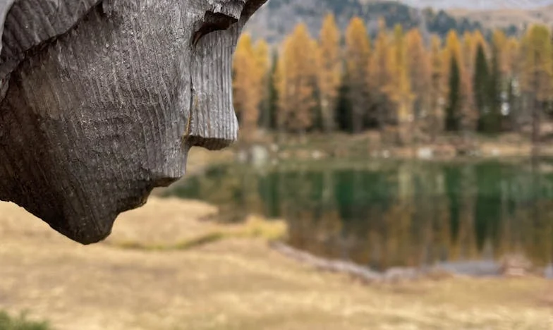 Dva životy, jedno srdce: Tajemství mého muže