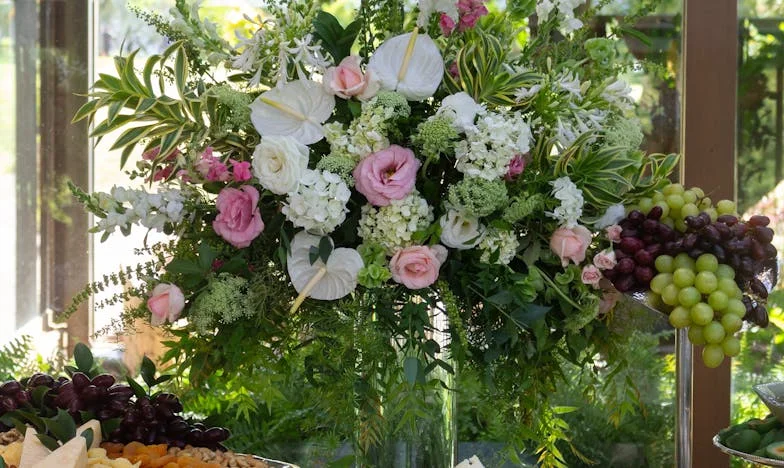 Hranice srdce: Příběh jedné matky z Prahy