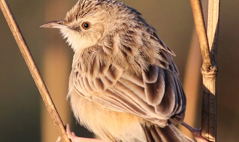 Kdo jsem, když pravda bolí?