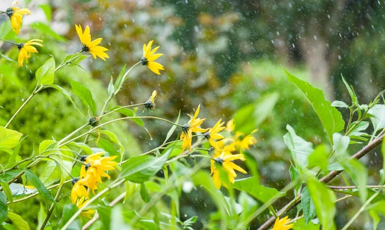 Když dcera mého partnera rozbila můj svět