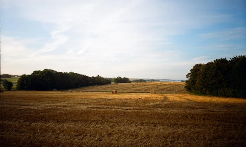 Když hlas mé dcery bolí víc než ticho: Příběh jedné české matky mezi láskou, zklamáním a nadějí