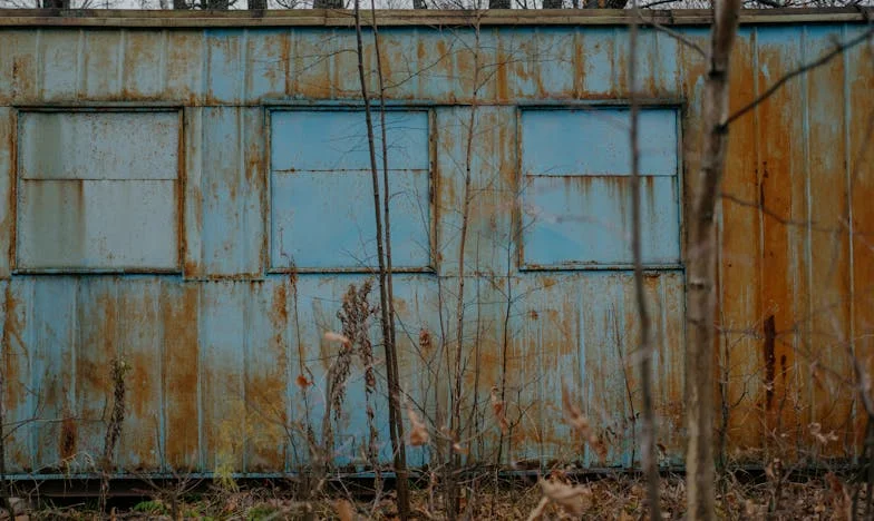 Když se sestra stane cizincem: Příběh rozděleného dědictví