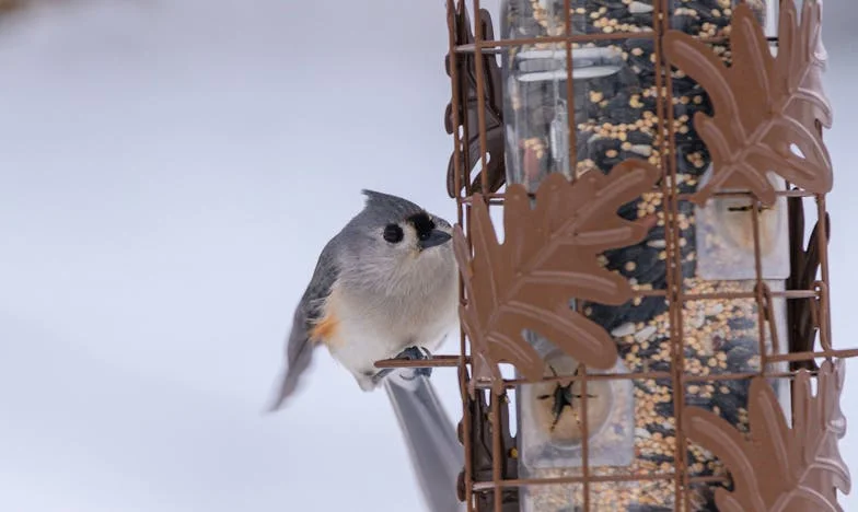 Křik mé dcery: Když hlas dítěte zachrání matku
