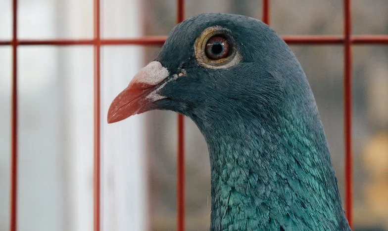 Máma mi vzala šanci na zdraví: Příběh zrady, která bolí víc než nemoc