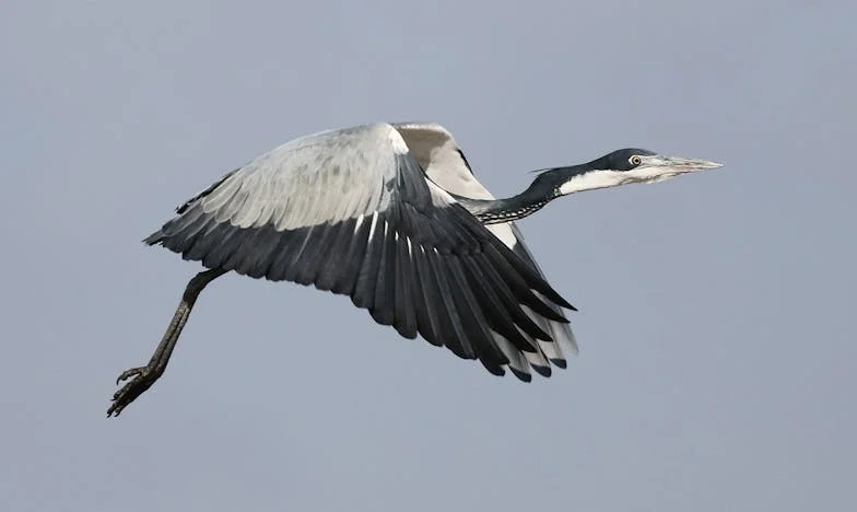 Mezi dvěma dveřmi: Příběh matky, která ztratila své místo