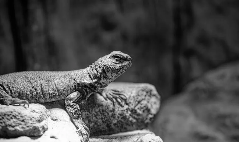 Mleté maso, rozhodnutí a slzy mé matky – Příběh třicátníka z Prahy na cestě k dospělosti