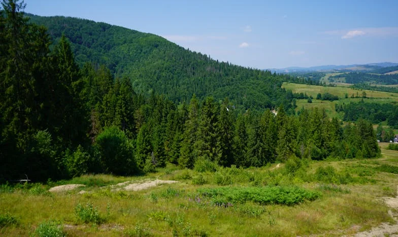 Proč nepotřebujeme takové rodiče: Příběh o bytě, rodině a hrdosti