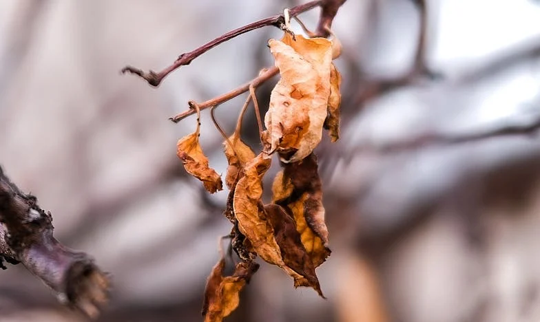Už nejsem služka celé rodiny: Probuzení jedné české matky