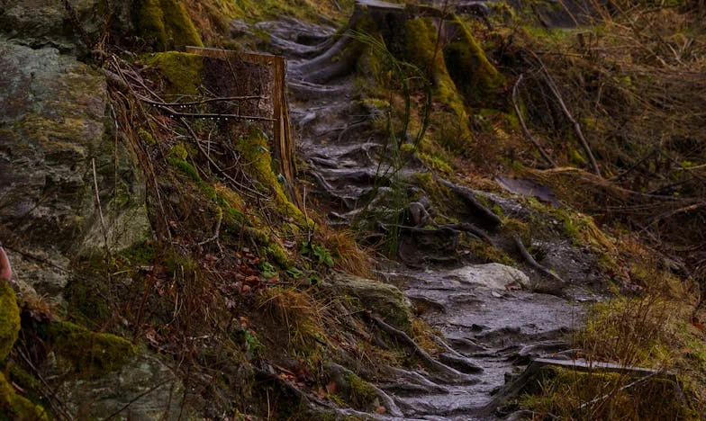 Bratr chce peníze na svatbu a naše rodina se rozpadá: Co byste dělali na mém místě?