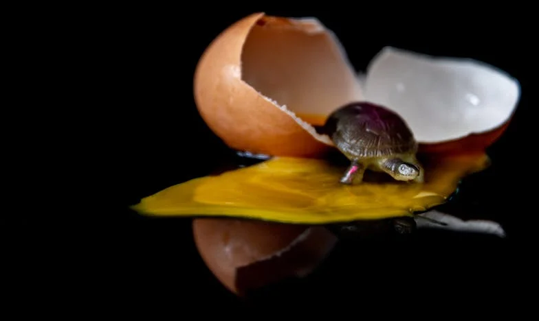 Když padal sníh a padaly i masky: Štědrý večer, který změnil všechno