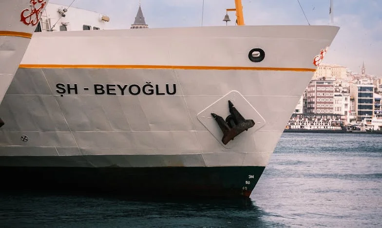 Když se všechno změnilo: Neviditelné boje Nikoly