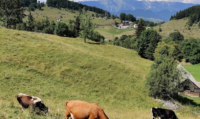Když shoří všechno, co jste milovali: Příběh jedné matky z Vysočiny
