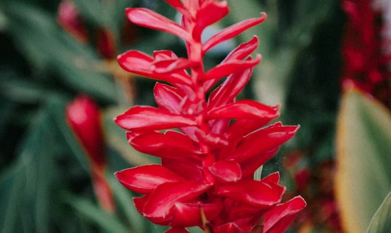 Stará krabice v předsíni: Tajemství, které změnilo můj pohled na rodinu