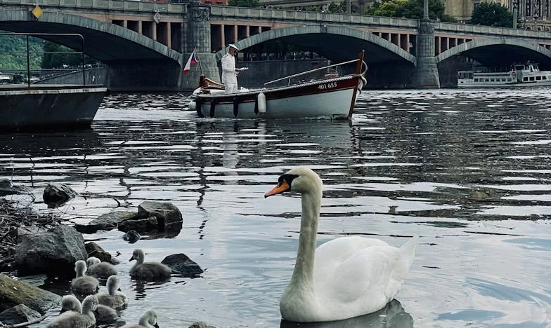 Když láska bolí: Jak jsme pomáhali naší Lucii a zeťovi Tomášovi najít jejich cestu
