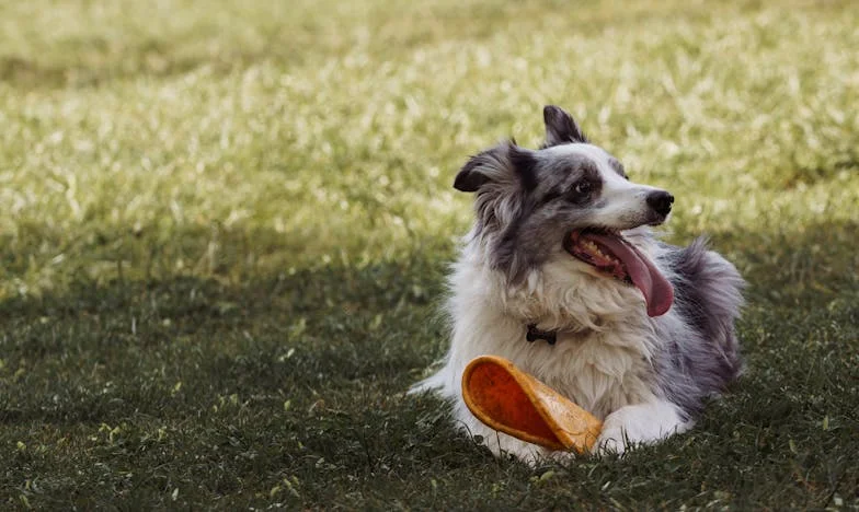 Když se otevřely dveře: Příběh otce, který musel překonat svou hrdost kvůli rodině