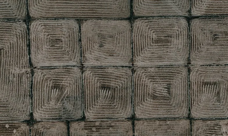 Moje tchyně mě vyhodila ze stolu – a já jí ukázala, že rodina není jen krev