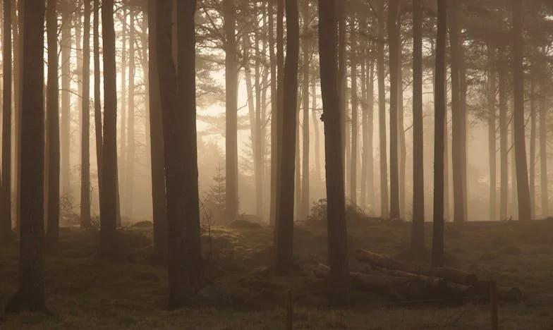 Moje tchyně udělala všechno pro to, aby zničila naši rodinu – ale nakonec přišla o syna