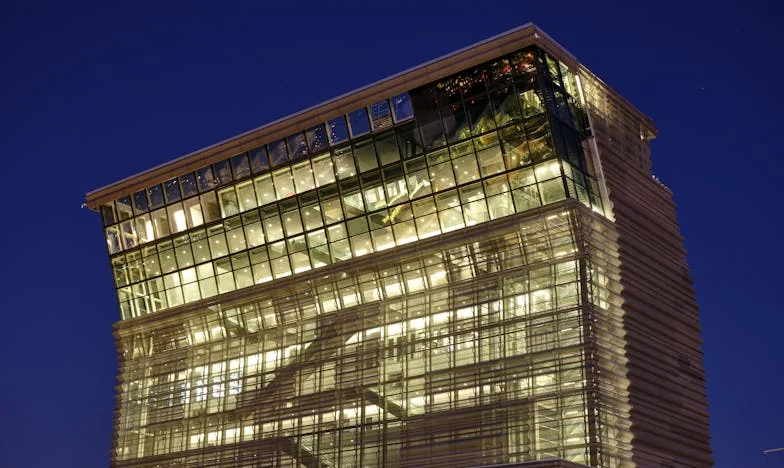 Prostá žena vysmívána svatebními hosty – dokud nepřišel její muž