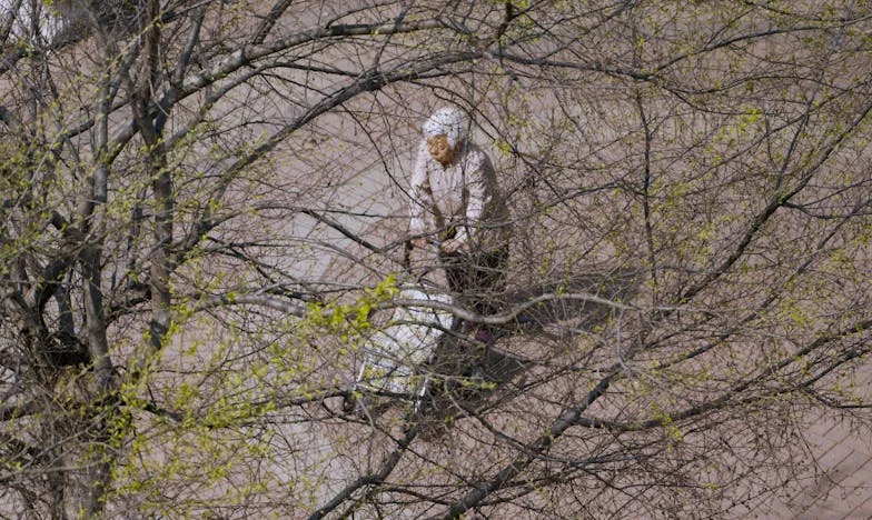 Šepoty ticha: Bolest matčina srdce