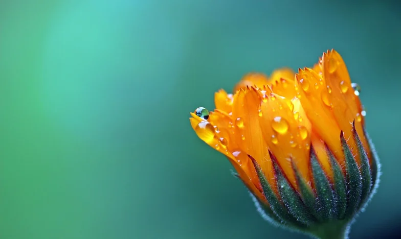 Když minulost zaklepe na dveře: Tajemství mé dcery a zkouška naší rodiny