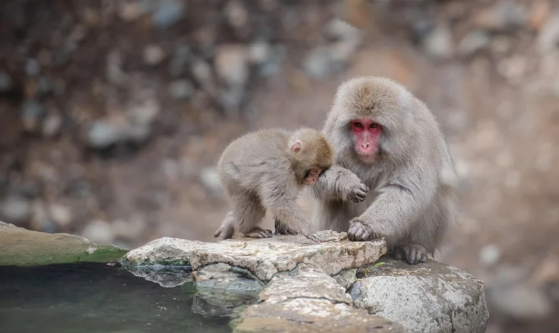 Neviditelná cena lásky: Můj život babičky na plný úvazek
