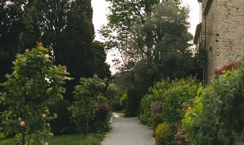 Peněženka mého muže a moje zlatá klec: Boj o svobodu v zamrzlém manželství