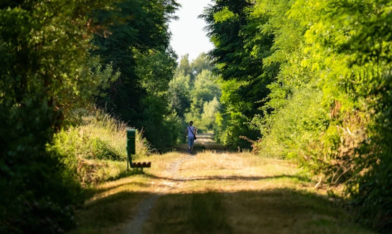 Domy, które nie są moje – opowieść o rodzinie, stracie i walce o własne miejsce