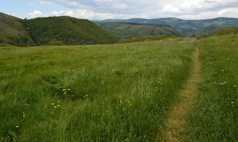 Prawdziwy mężczyzna? Historia o tym, jak łatwo zgubić siebie w walce o rodzinę