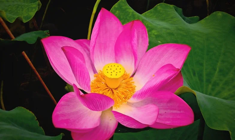 Cień obietnicy: Opowieść ojca i syna w dzisiejszej Polsce