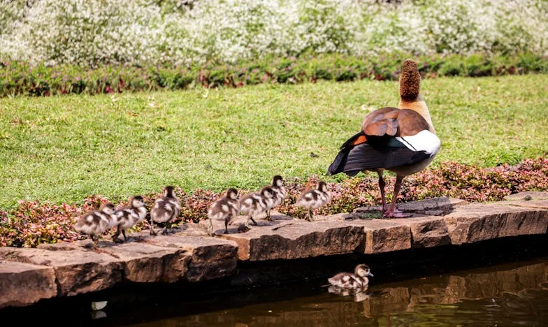 „Córka dzwoni tylko po pieniądze. Czy jeszcze kiedyś odzyskam z nią prawdziwą więź?”