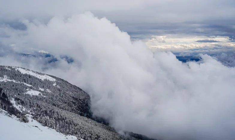 Gdy dom przestaje być domem: Historia matki, która musiała odejść