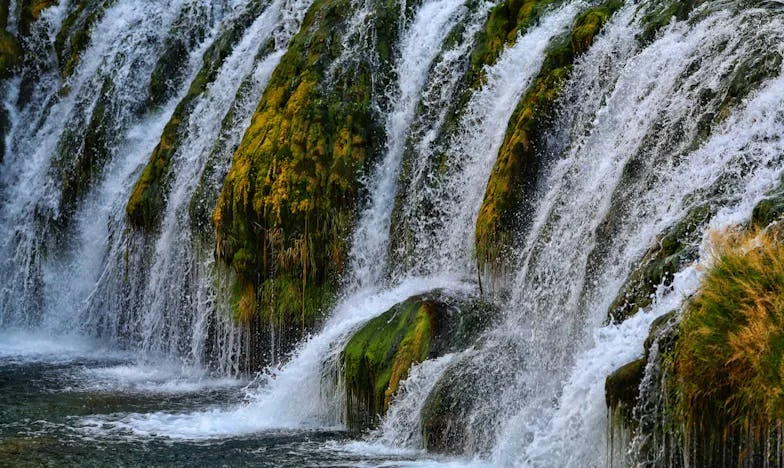 Jak jeden krem do twarzy zamienił moje życie w rodzinny koszmar – wyznanie synowej z Wrocławia