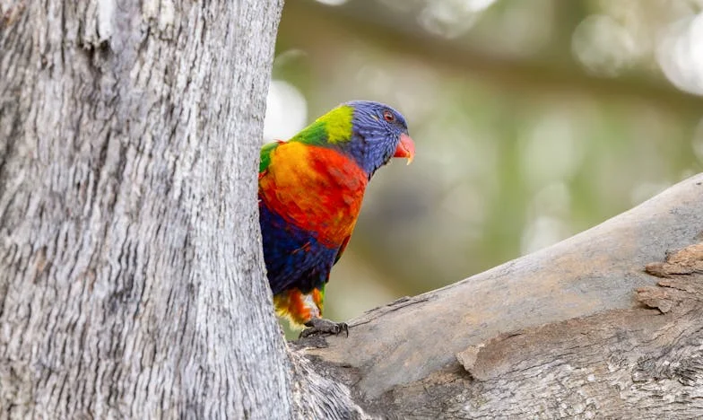 Kiedy własny dom staje się obcy: Historia matki z Warszawy